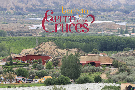 Bodega Cerro de las Cruces