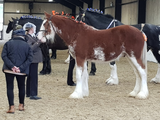 Broads Equestrian Centre