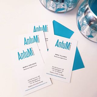 AntuM Ekonomi AB - Thumbnail