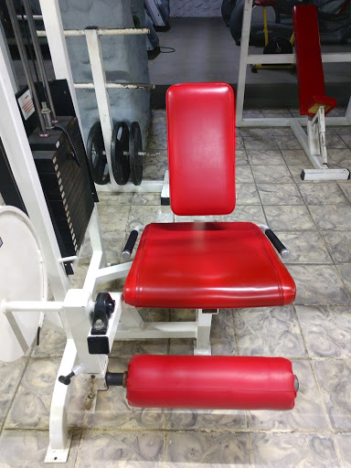 BIOGYM - Visual
