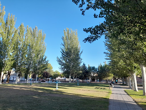 estanque Park - Visual