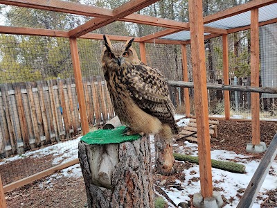 Sunriver Nature Center & Observatory