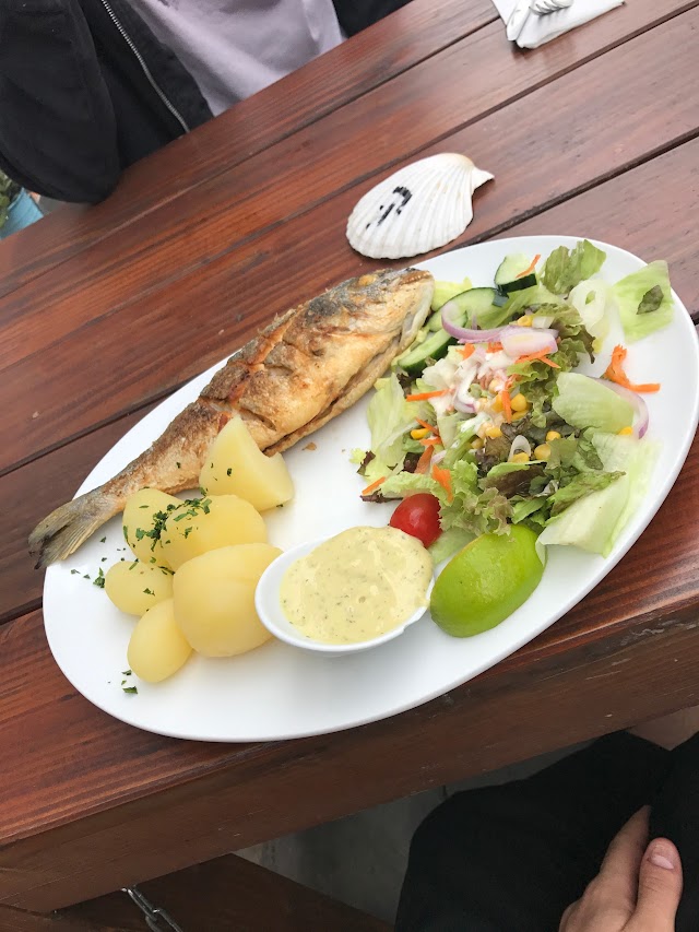 Fischzeiten