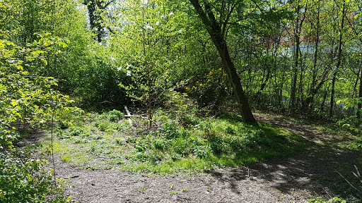 Kanalön - Visual