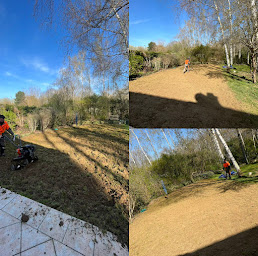 Photo n°3 de Samuel à Dammarie-les-Lys (Service d'élagage)