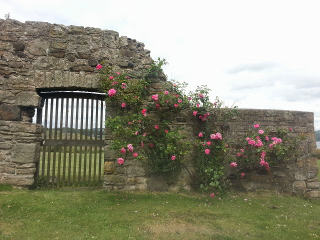Inchcolm Abbey - Historic Scotland