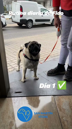 Comentarios y opiniones de San Martin Store - Farmapet Chile