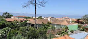 Photo n°8 de alextoitramonage à Biscarrosse (Couvreur)