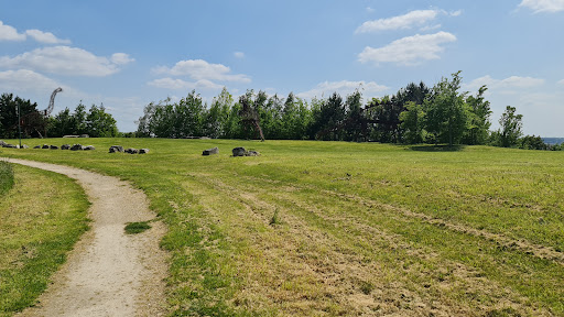 Arboretum du bois de l'étoile - Thumbnail