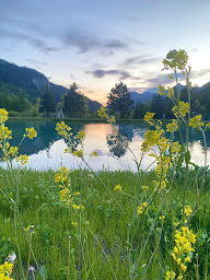 Photo n°19 de Restaurant La Gravière à Orcières (Restaurant)