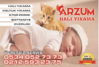 Arzum haliyikama