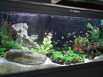 aquarium