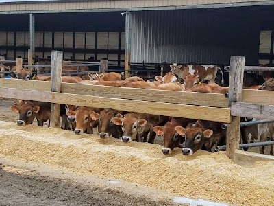 Photos of Kilgus Farmstead Inc