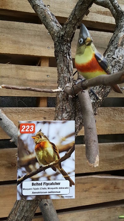 Photos of Bird Art Museum
