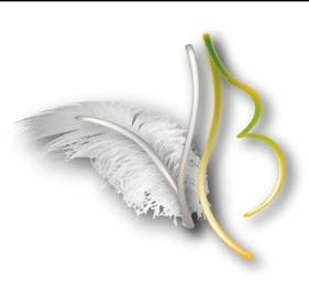 Photo n°2 de Vanessa Bajoux à Valdivienne (Praticien de médecine alternative)