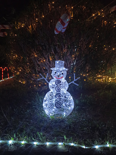 Christmas Garden - Thumbnail