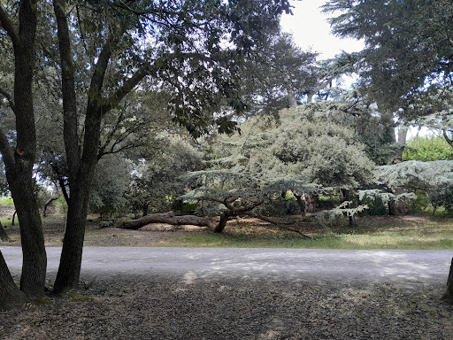 Parc et Château de la Nauze Gallery - France