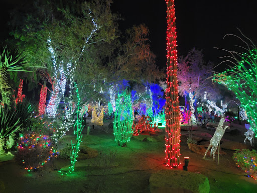 Ethel M Botanical Cactus Garden - Thumbnail