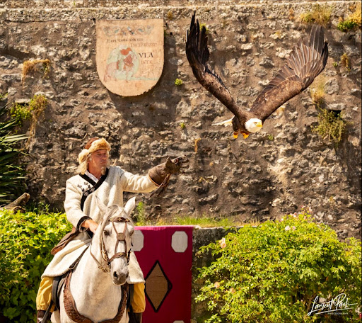 Les Aigles des Remparts - Vol Libre Production