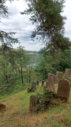 Jüdischer Friedhof Oberwesel - Thumbnail