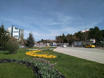 WORLD CENTER OF CORUM