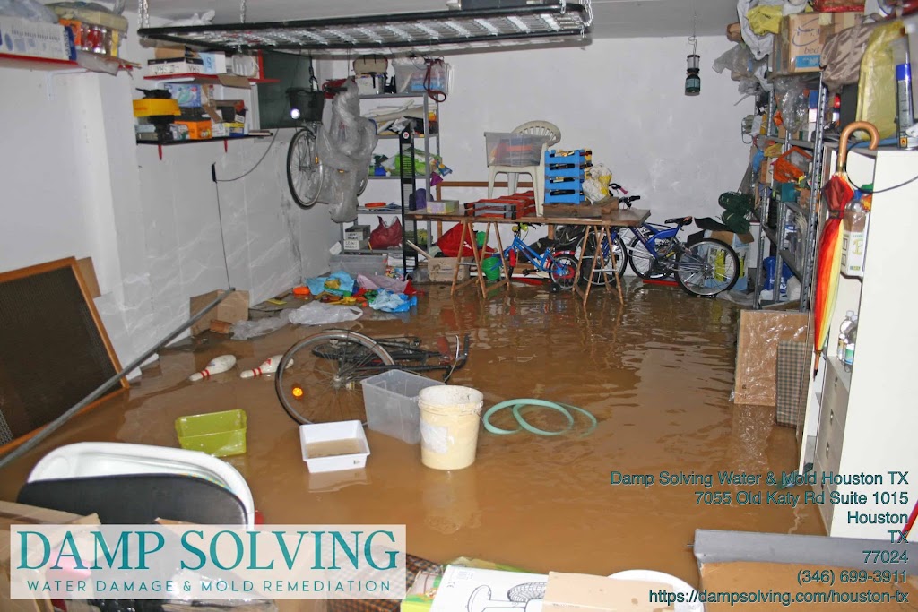 Damp Solving Water & Mold photo