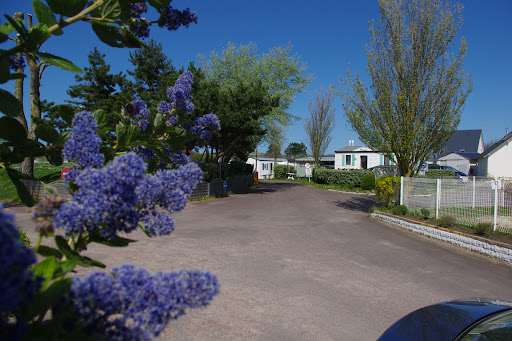 Photo de Camping Oasis