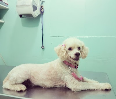 Photos of Cl&iacute;nica Veterinaria Salud Animal