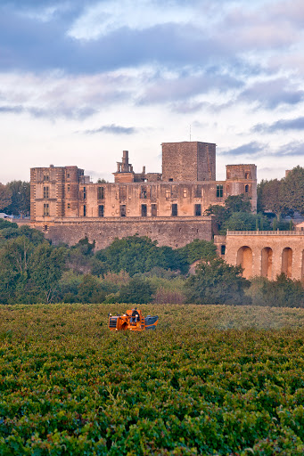 Terres Valdèze - Empreinte Vigneronne - Thumbnail