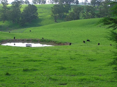 Photos of The Pines Pastoral
