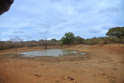 Photos of Yala National Park Museum