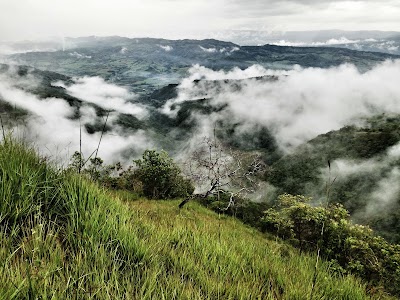 Photos of ALTOS DE GUADALUPE | FINCA