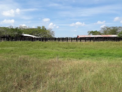 Photos of villa salah