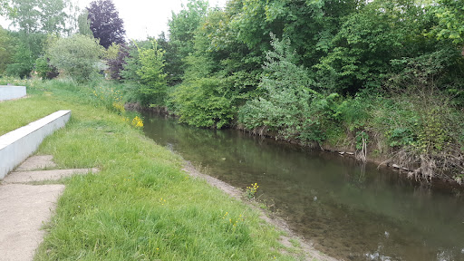 Elementary School Bad Gandersheim - Thumbnail