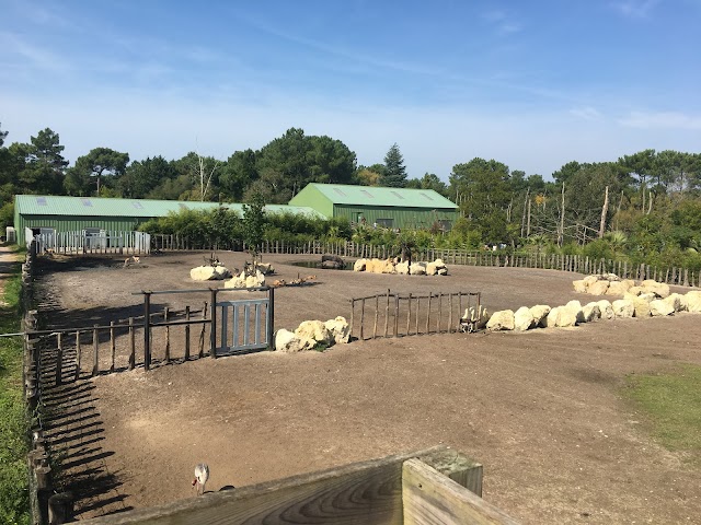 Zoo du Bassin d'Arcachon