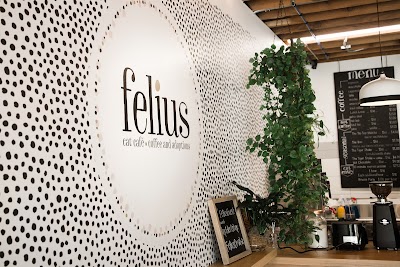 Felius Cat Café