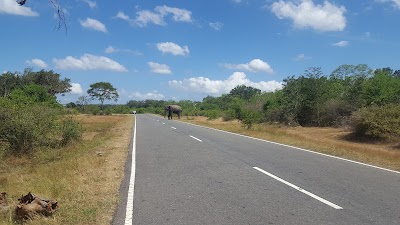 Photos of Arugam Bay Taxi Services