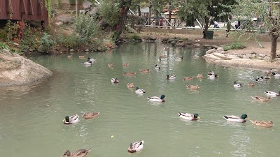 Photos of Bursa Zoo