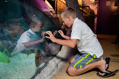 SEA LIFE San Antonio Aquarium