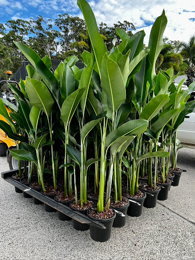 ePlants - Visual