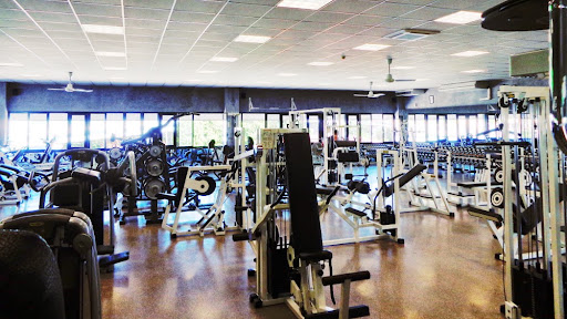 Gym Energy Valzelli Di Carlo & C. S.A.S. - Italy