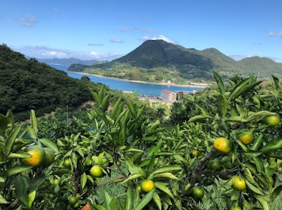 たではら農園(蓼原農園）
