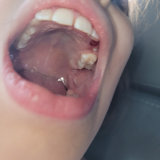 BLOOMING SMILES PLLC - Thumbnail