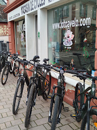 Photo n°40 de TOTO A VELO à Niederbronn-les-Bains (Magasin de réparation de vélos)