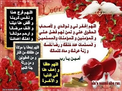Photos of nabil saad