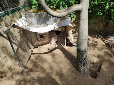 Animal park