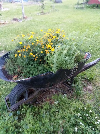 Photo of TLC Farms and Wellness Center clinic location