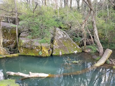 Murfree Spring Wetlands