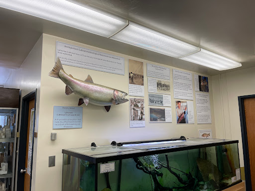 Museum Of Natural History UNR