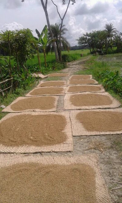 Photos of Bangladesh
